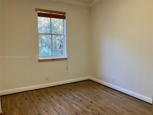 empty room featuring hardwood / wood-style flooring