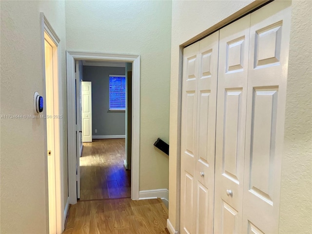 hall featuring hardwood / wood-style flooring