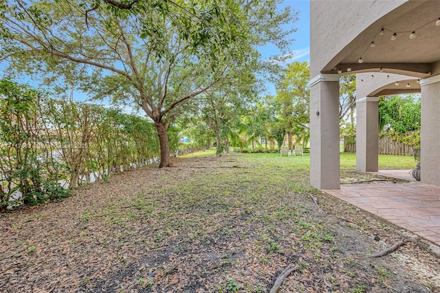 view of yard featuring a patio area