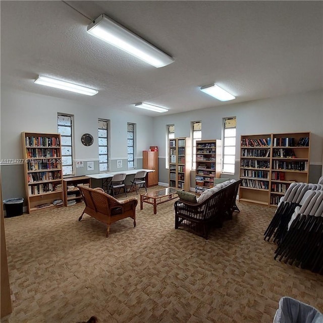 living room featuring carpet floors and a textured ceiling