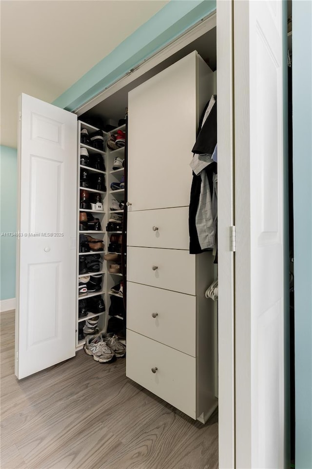 view of closet