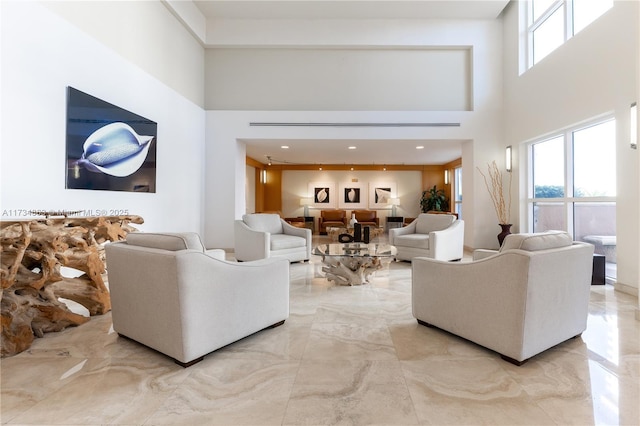 living room featuring a high ceiling