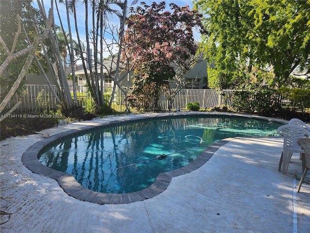 view of swimming pool