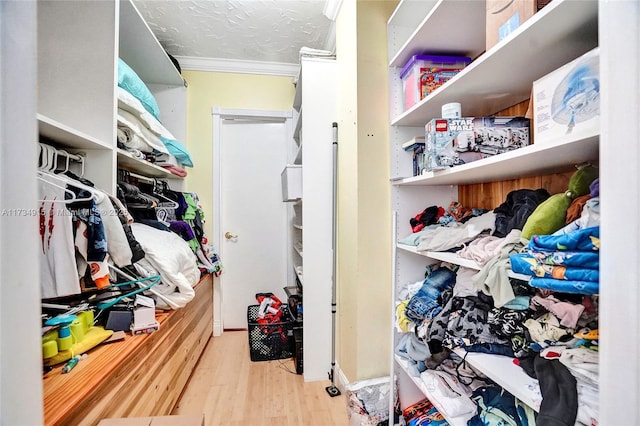 spacious closet with light hardwood / wood-style flooring