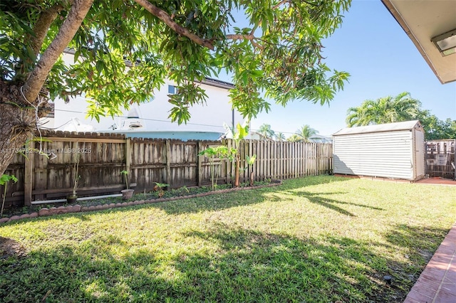 view of yard with a storage shed