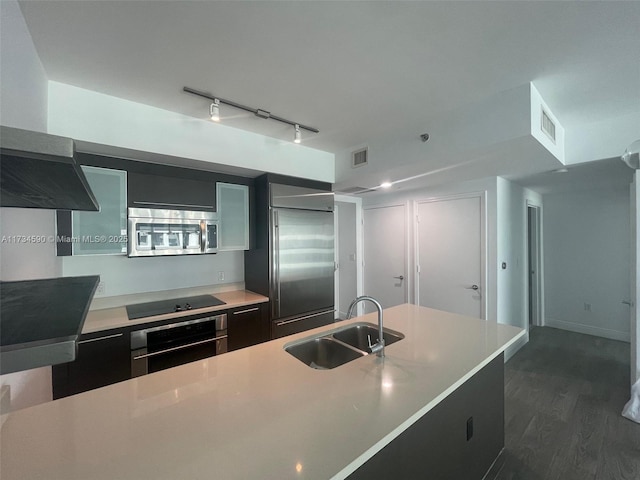 kitchen with stainless steel appliances, sink, and dark hardwood / wood-style floors