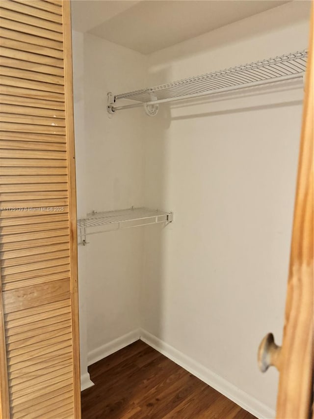 spacious closet with dark wood-type flooring