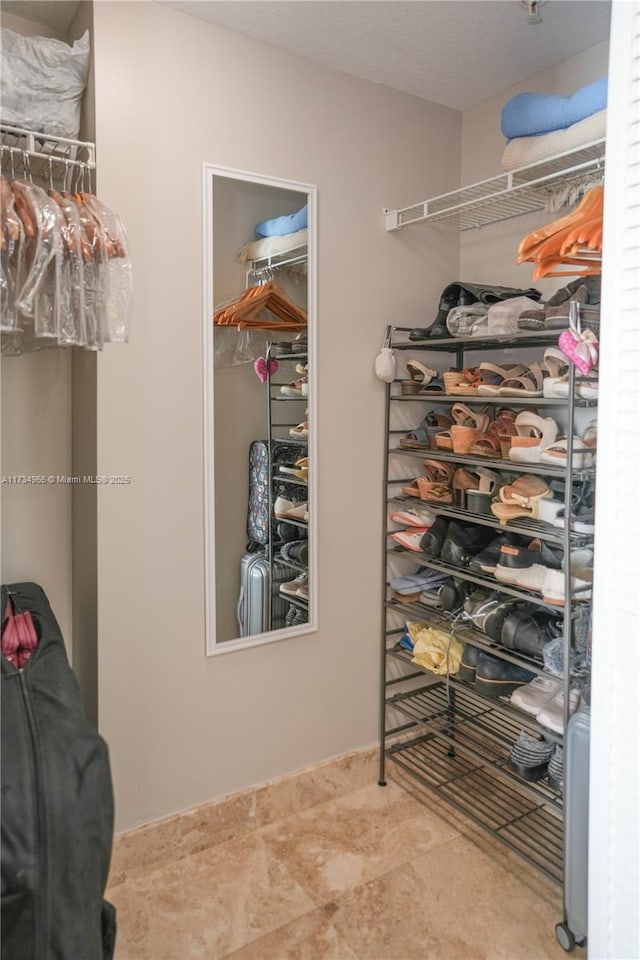 view of spacious closet