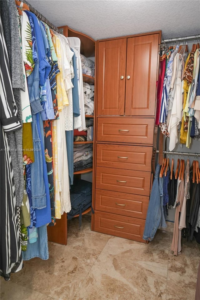 view of walk in closet