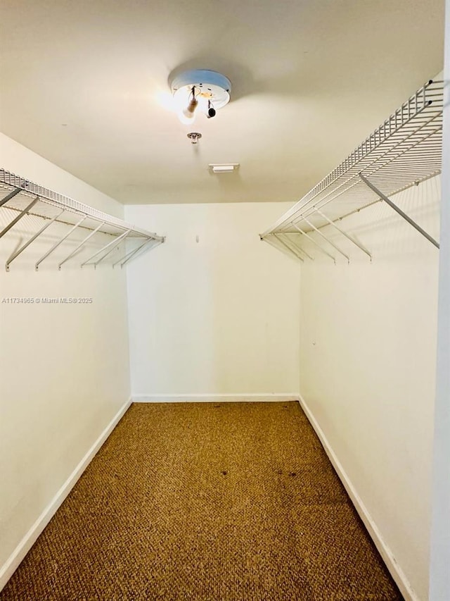 walk in closet featuring carpet