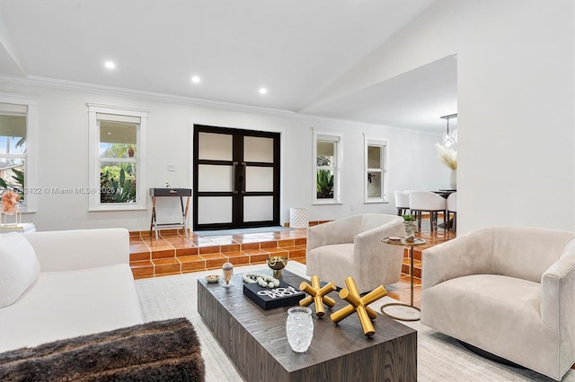 living room featuring ornamental molding and vaulted ceiling