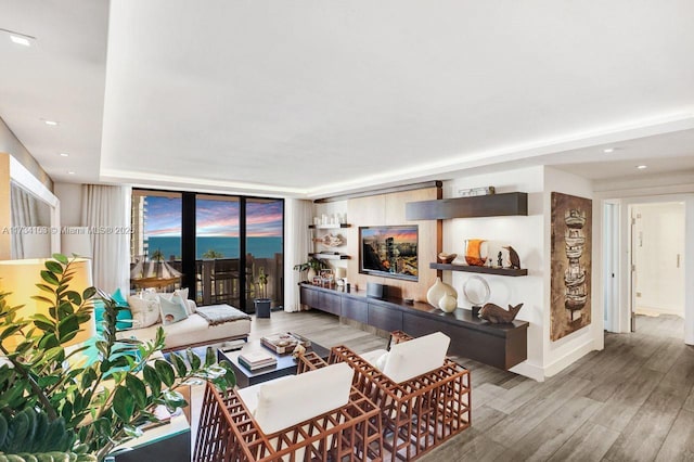 living room featuring light hardwood / wood-style flooring