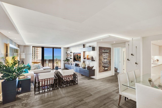 living room featuring hardwood / wood-style floors