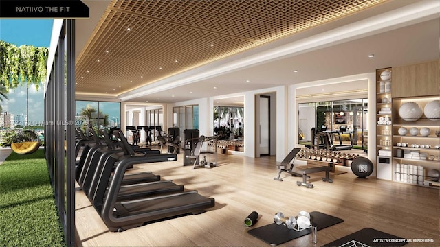 gym with hardwood / wood-style floors and a raised ceiling