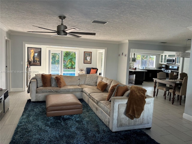 living room with ornamental molding, sink, and a textured ceiling