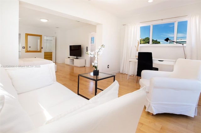 living room featuring light wood-type flooring