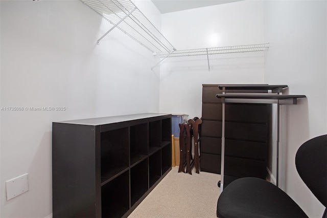 spacious closet with carpet