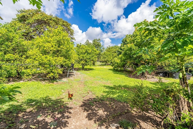 view of yard featuring a rural view