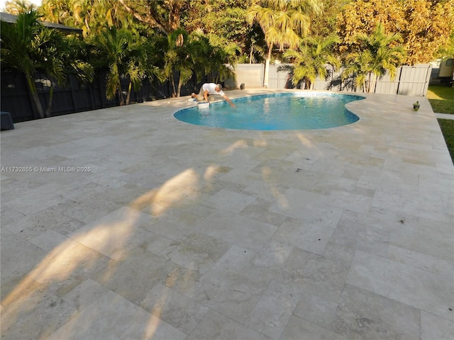 view of swimming pool with a patio