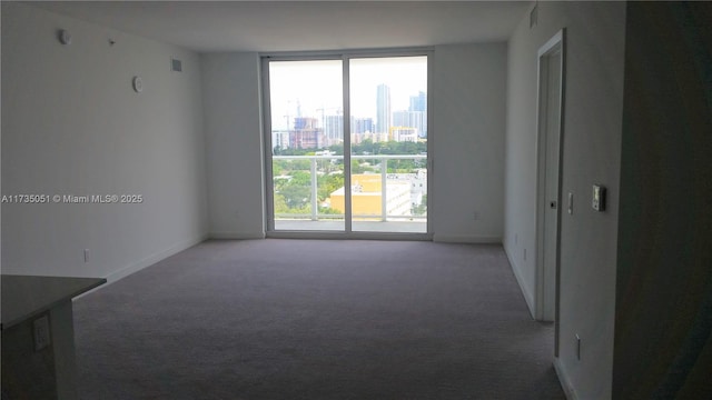 spare room featuring floor to ceiling windows and carpet