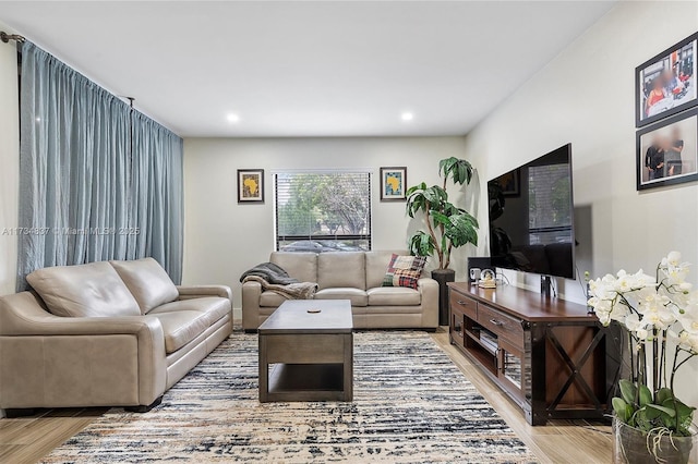 living room featuring wood-type flooring