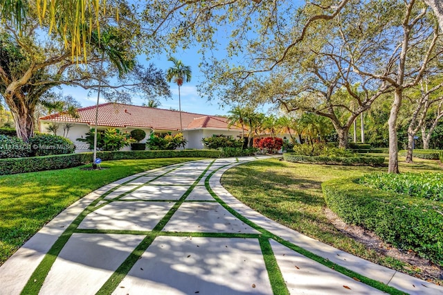 view of community featuring a lawn