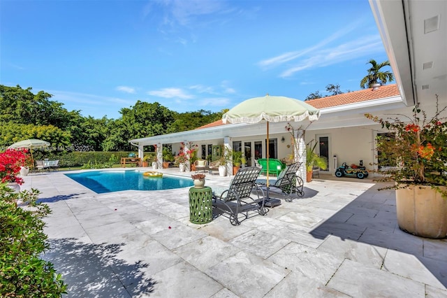 view of swimming pool with a patio