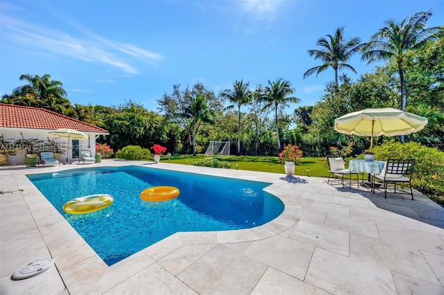 view of swimming pool with a patio