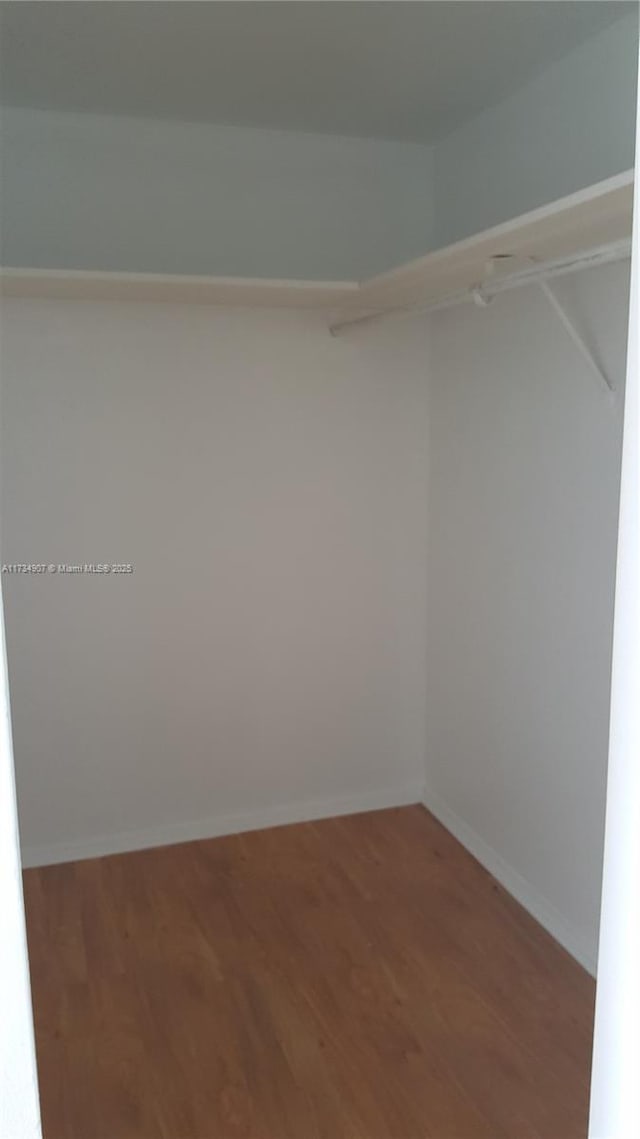 walk in closet with hardwood / wood-style flooring