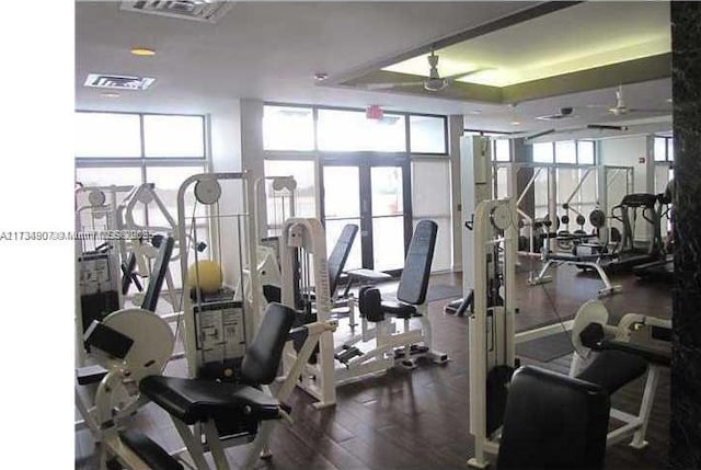 gym with expansive windows and hardwood / wood-style floors