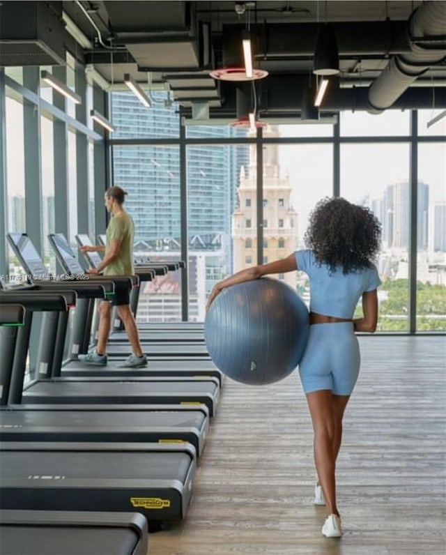 gym with hardwood / wood-style flooring and a wall of windows