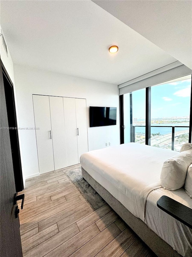 bedroom featuring expansive windows, light wood-type flooring, and a closet