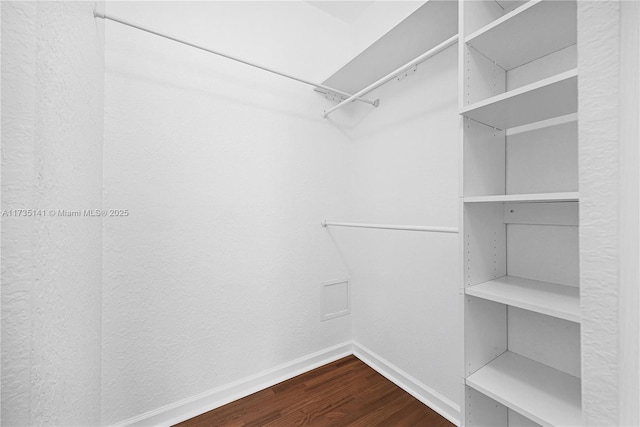 spacious closet with hardwood / wood-style flooring