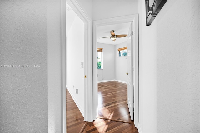 hallway featuring hardwood / wood-style floors