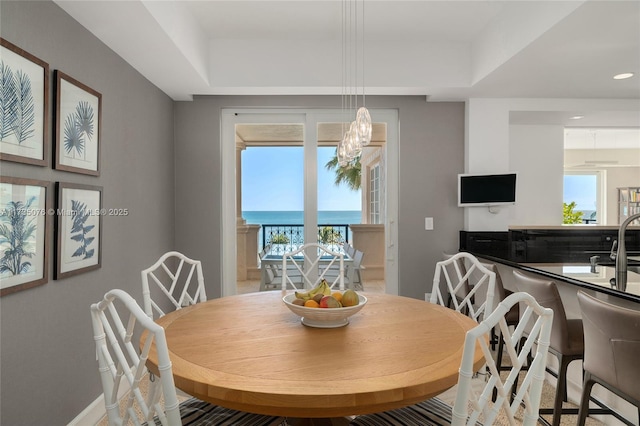 dining room featuring a wealth of natural light