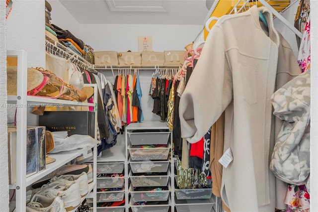 view of walk in closet