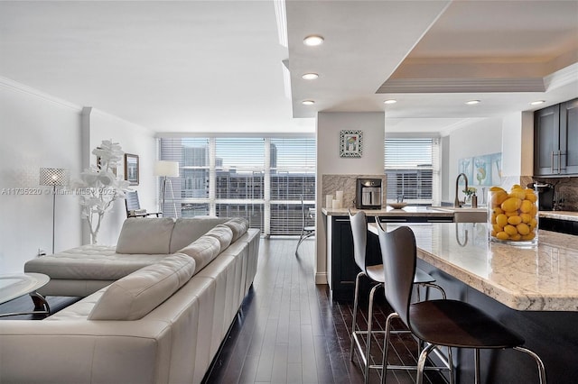 living room featuring sink, crown molding, a wall of windows, and dark hardwood / wood-style floors