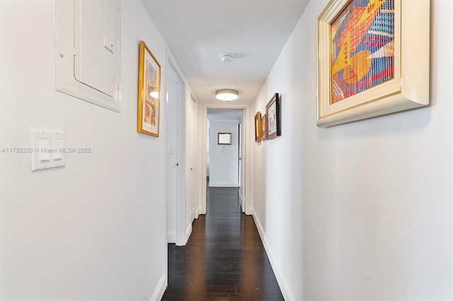 corridor featuring electric panel and dark hardwood / wood-style floors