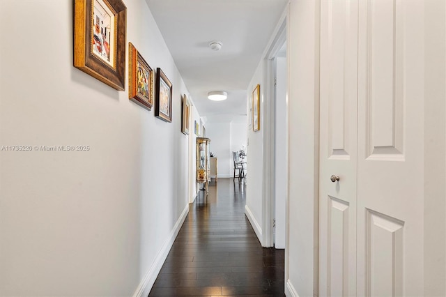 hallway featuring dark hardwood / wood-style floors