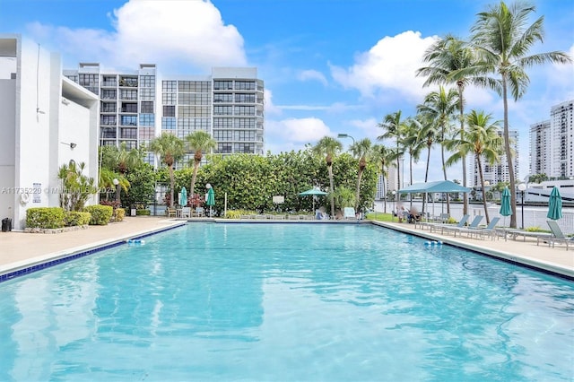 view of swimming pool with a patio area