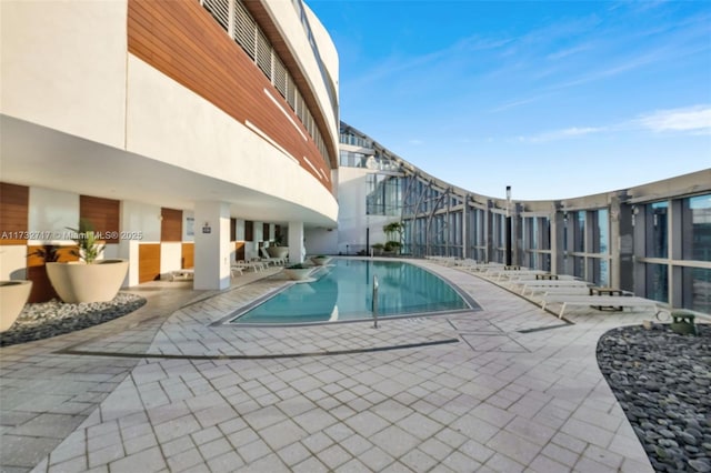 view of swimming pool with a patio area