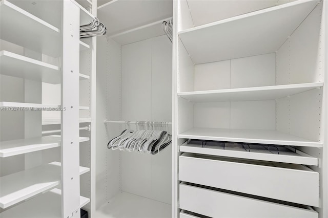 view of walk in closet