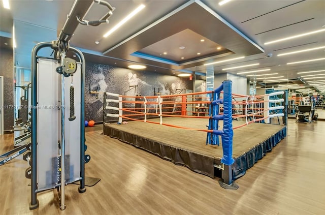 game room featuring hardwood / wood-style floors