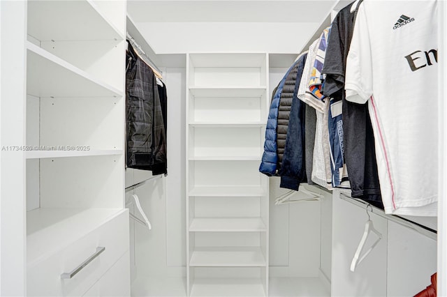 view of walk in closet