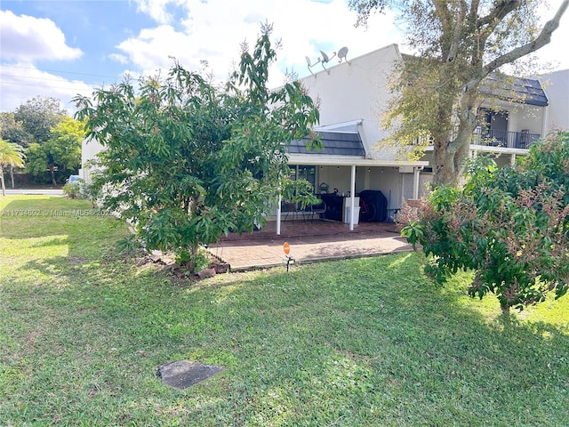 view of yard featuring a patio area