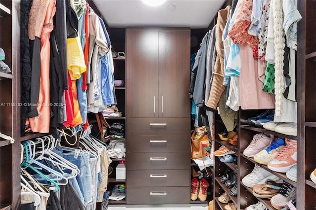 view of walk in closet