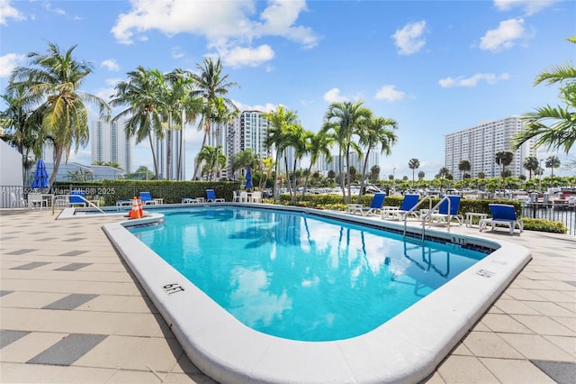 view of pool featuring a patio