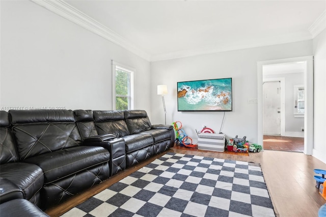 living room featuring dark wood-type flooring and ornamental molding