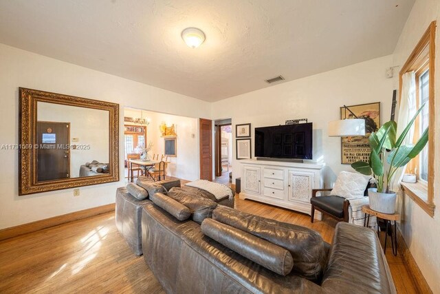 living room featuring hardwood / wood-style floors