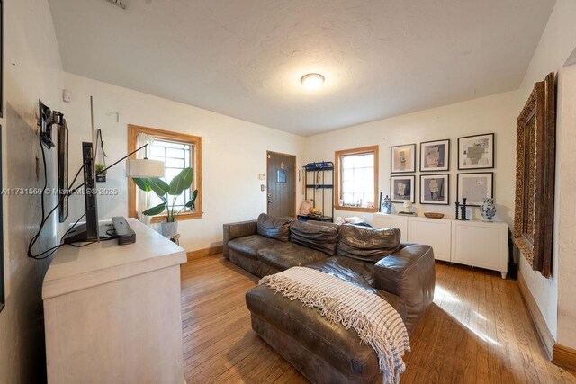 living room featuring light hardwood / wood-style floors